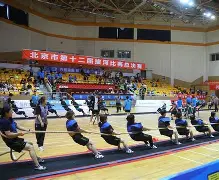  柔道赛场再起风云：燕山风暴队爆冷塞外烈马队，新援首秀制胜主场山呼海啸-九游会